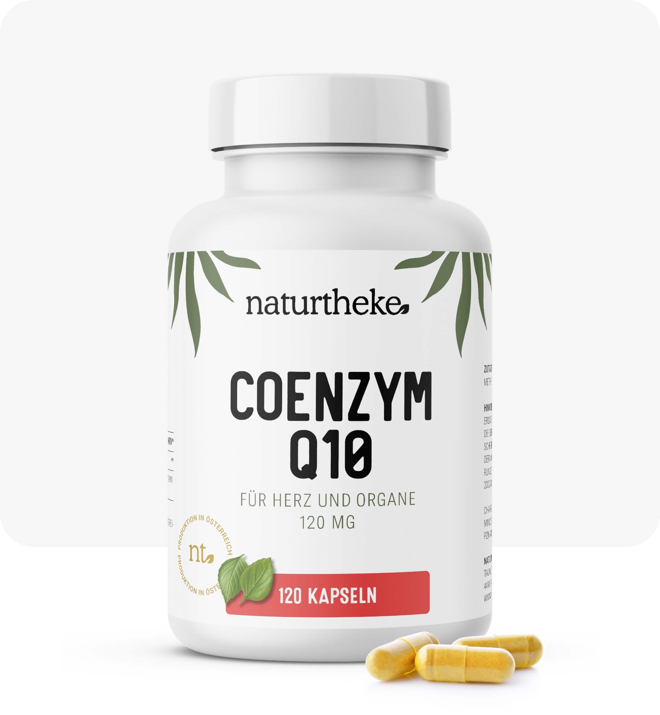 Coenzym Q10