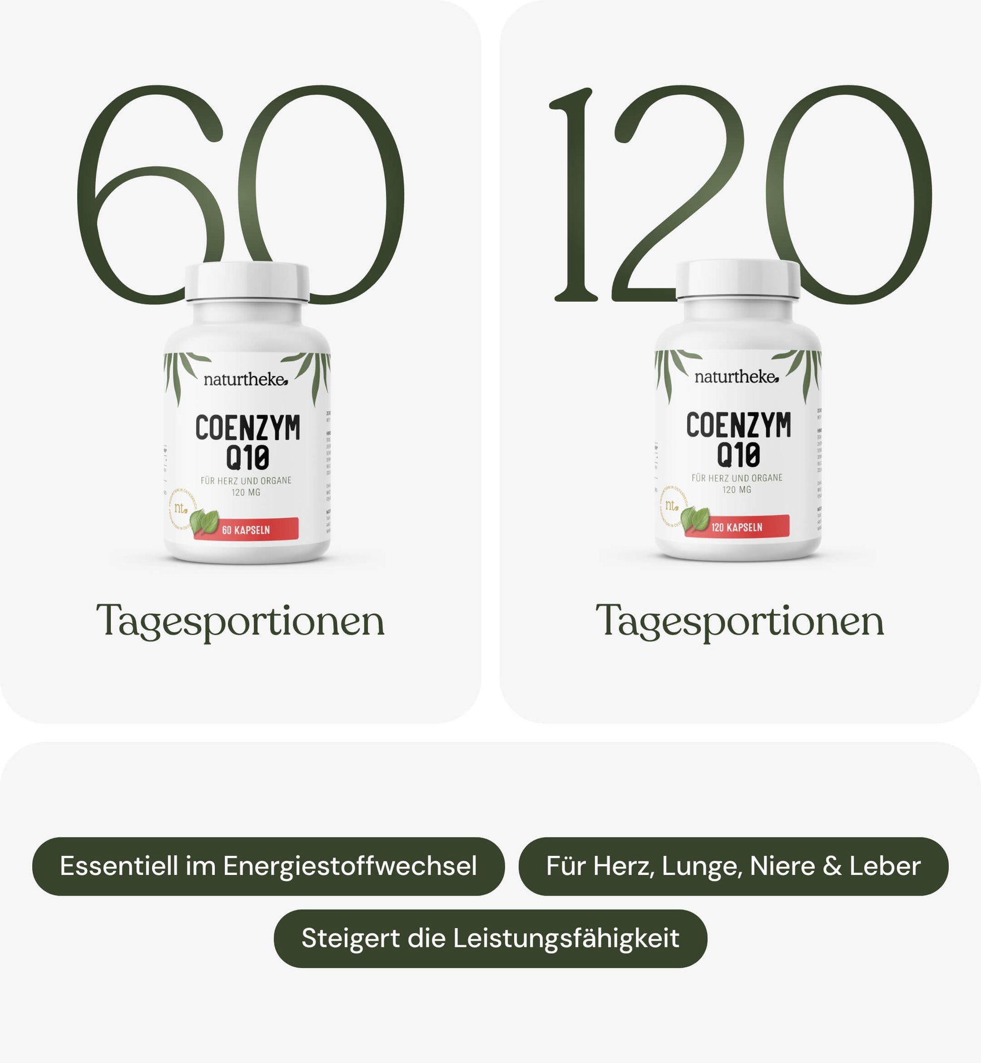 Coenzym Q10 naturtheke, q10, q10 kapseln, co enzym q10, koenzim q 10, q10 coenzym, q10 kaufen, q10 zum einnehmen, q10 supplement, q10 tabletten, coenzym q10 kaufen