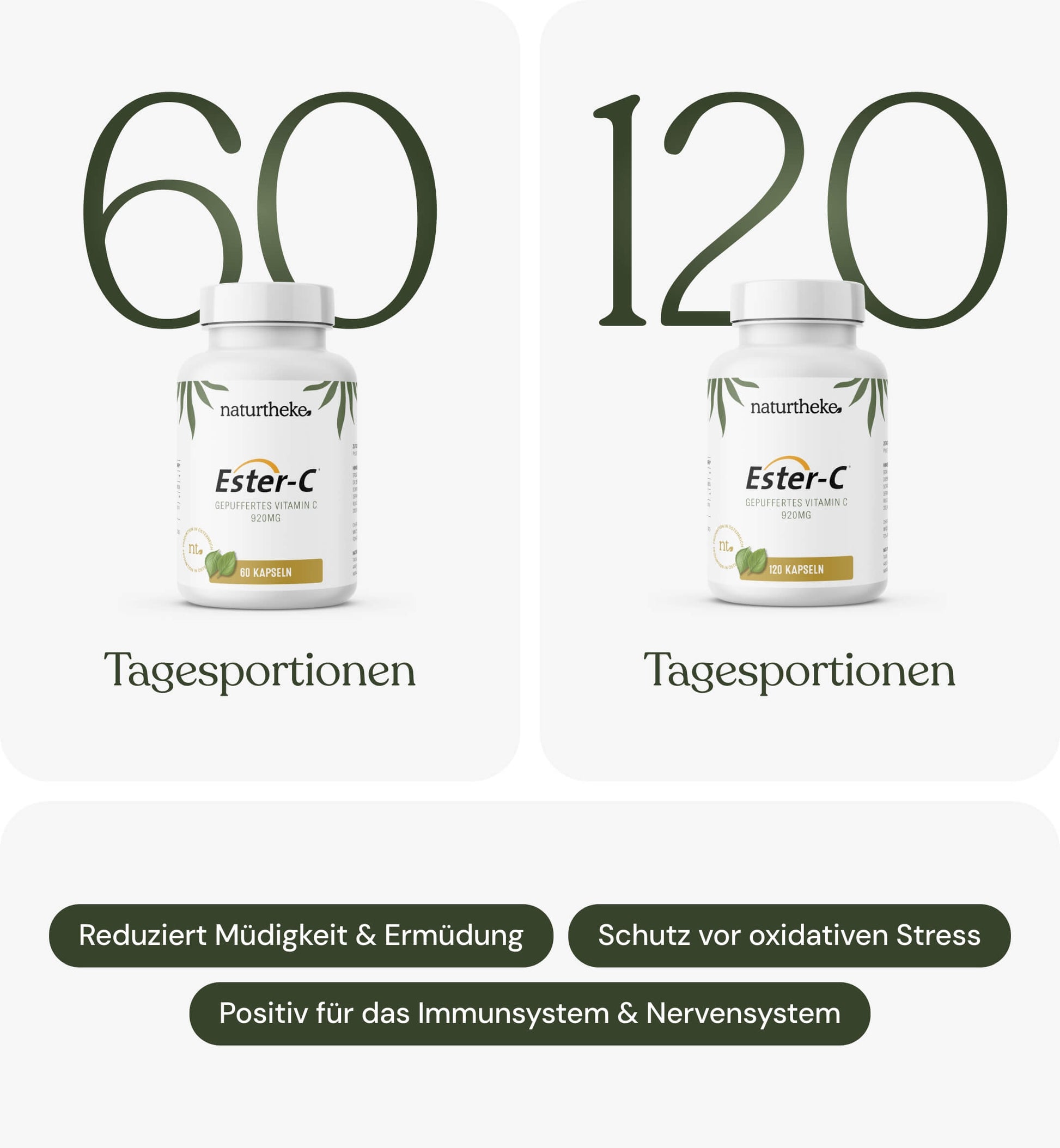 ester c naturtheke, ester vitamin c, vitamin c hochdosiert, gepuffertes vitamin c, vitamin c kapseln, vitamin c tabletten, vitamin c kaufen