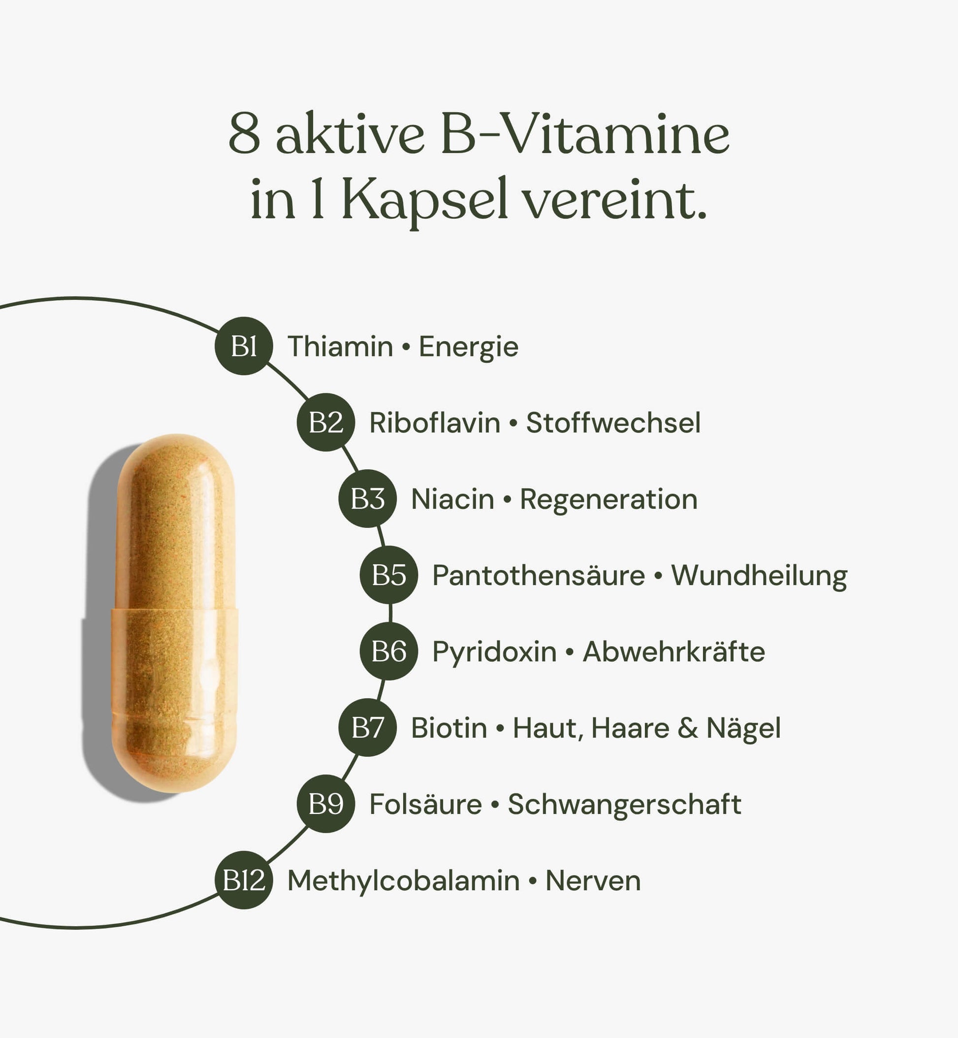 vitamin b komplex Naturtheke, vitamin b komplex kapseln Tabletten, vitamin b komplex kaufen, vitamin b komplex, Vitamin b kapseln, vit b tabletten